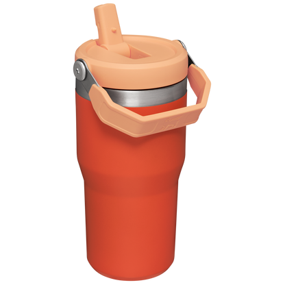 The IceFlow™ Flip Straw Tumbler | Stanley Create